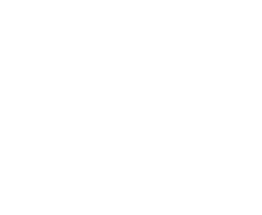 לין סגל